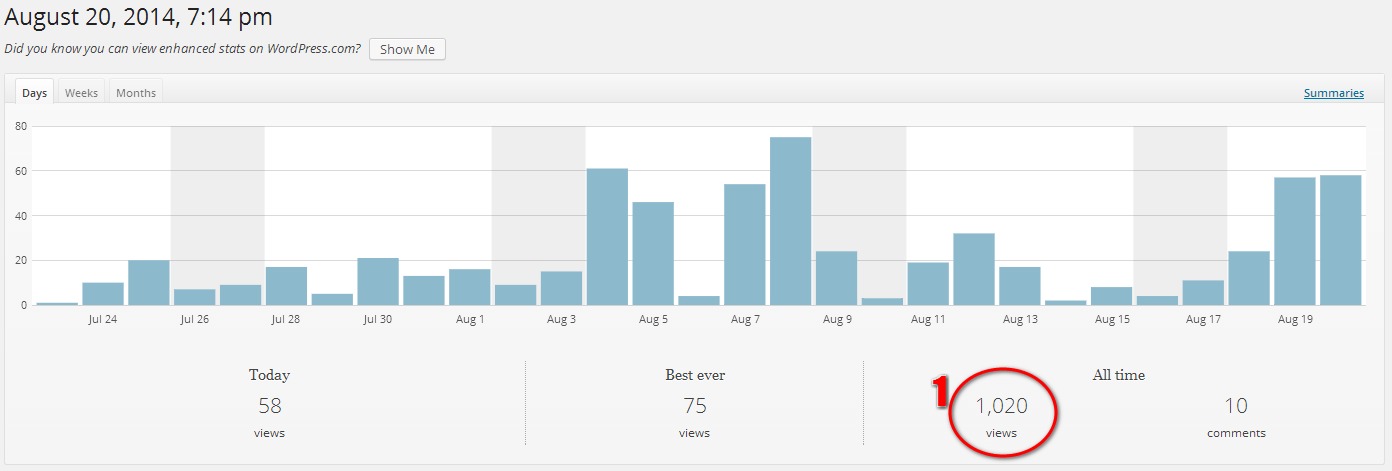 Wordpress Stats